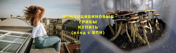 a pvp Покровск