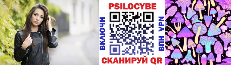Купить закладки  Арзамас  Галлюциногенные грибы Psilocybine cubensis 